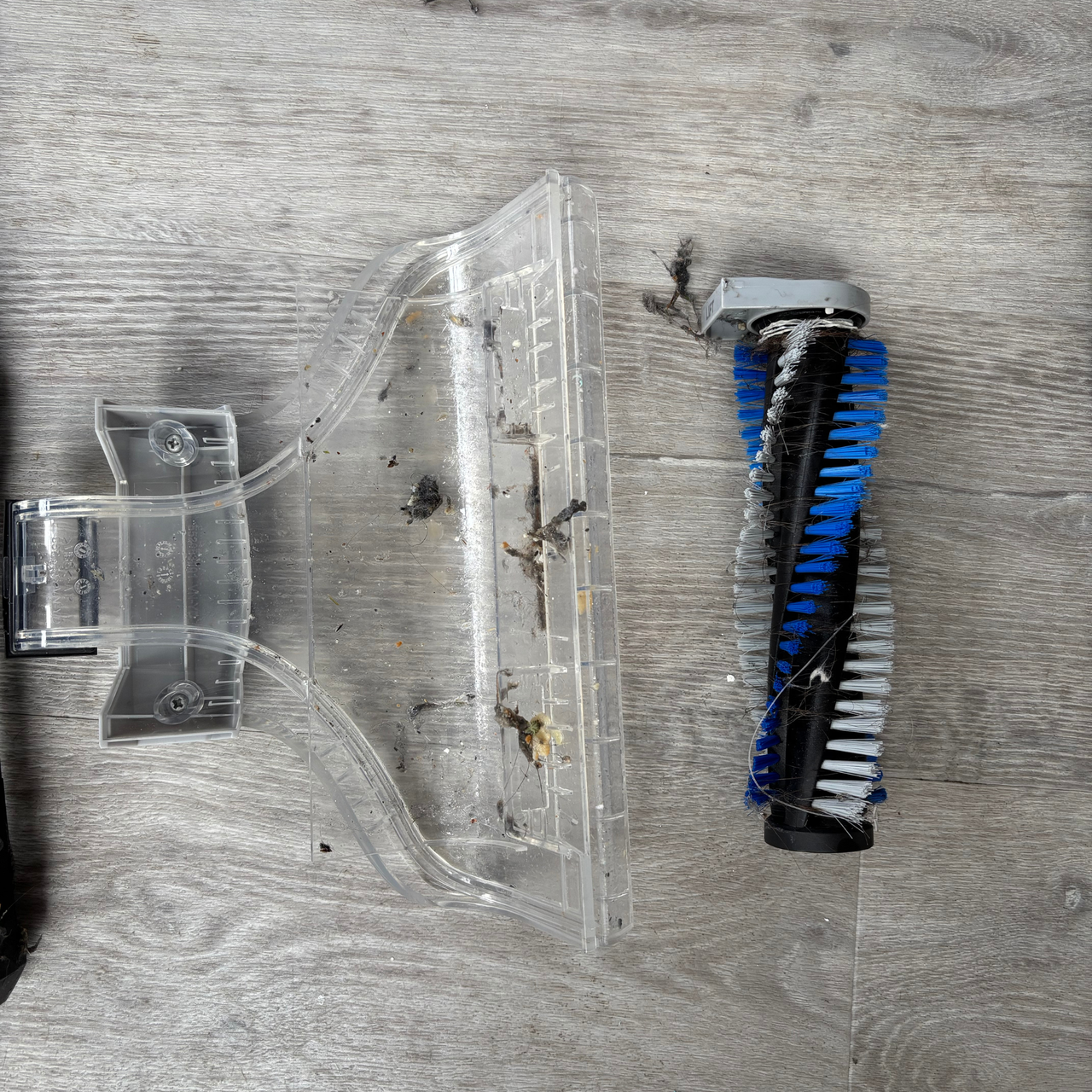 Flatlay of the nozzle and roller brush with dirt and debris