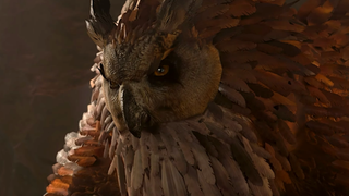 An Owlbear from Baldur's Gate 3 stares angrily at its potential supper.