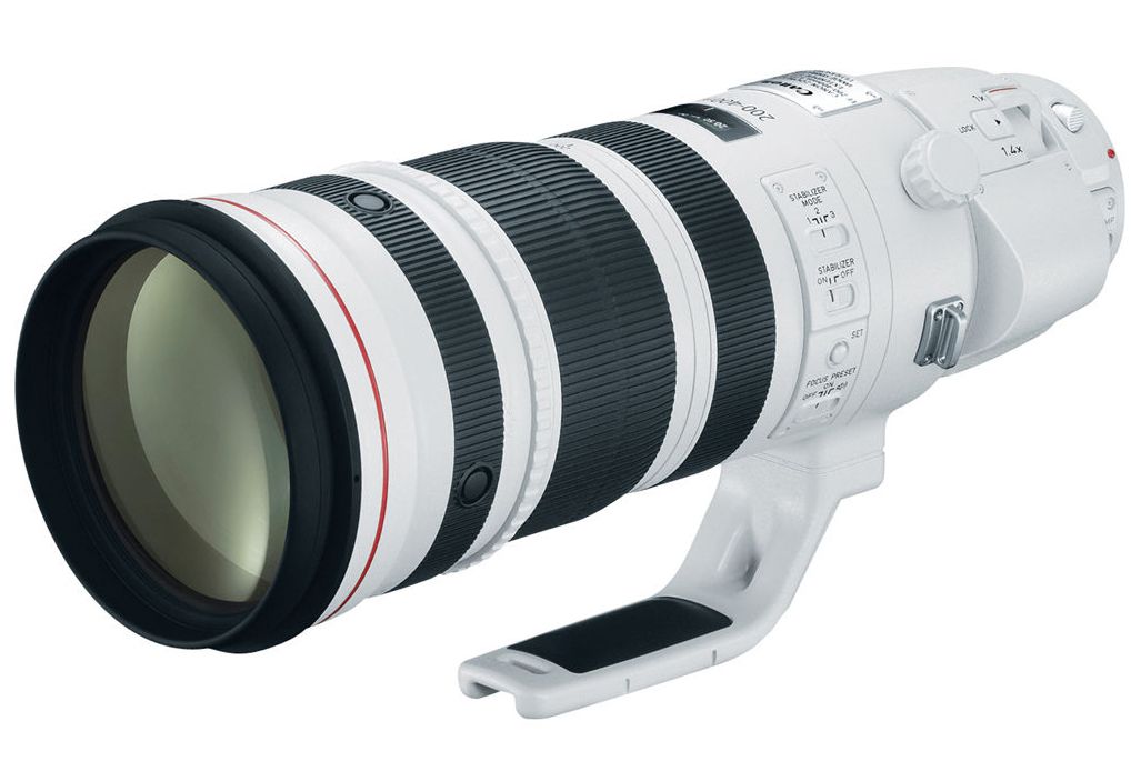 Canon EF 200-400mm f/4L IS USM Extender 1.4x