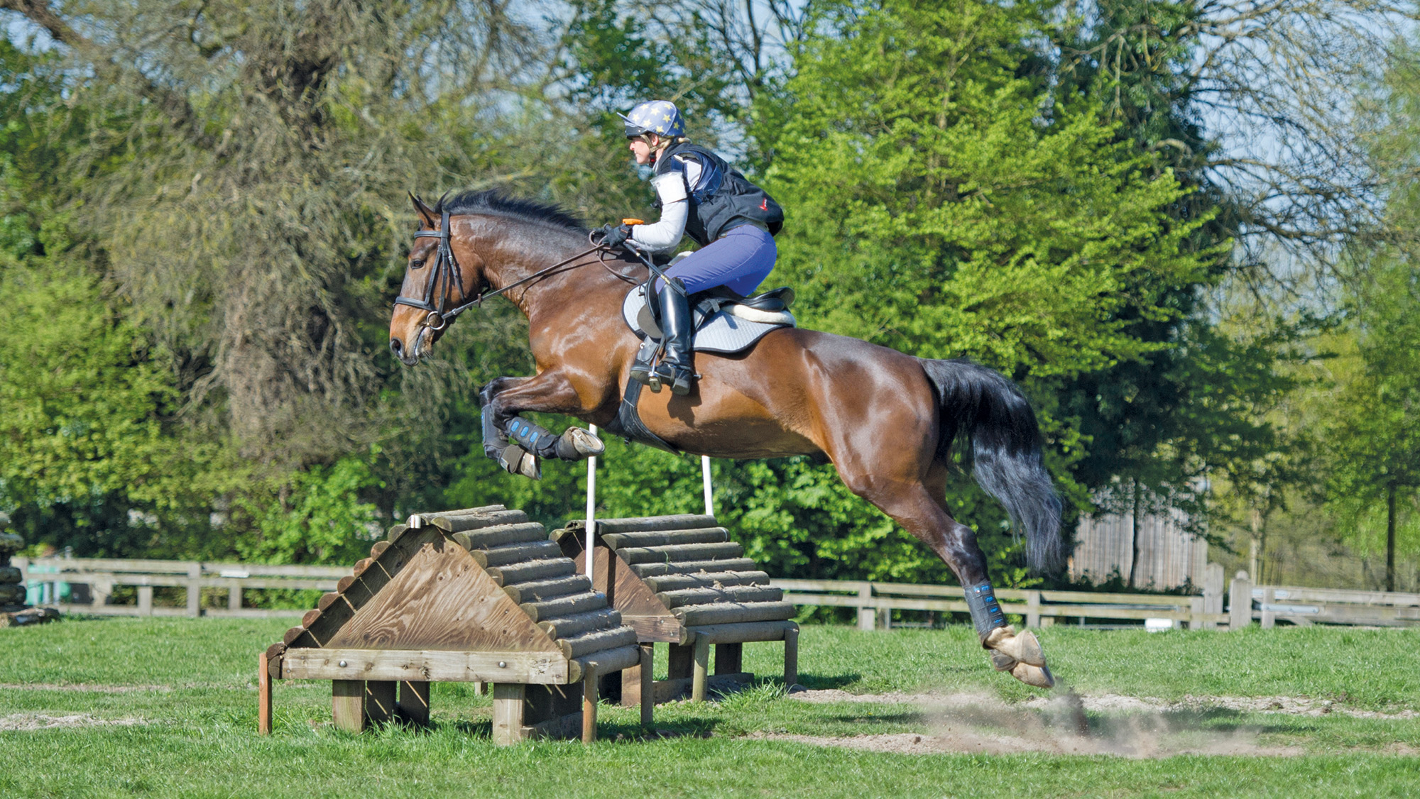 Ruth Starey rides Bee My King (Buzz) cross-country schooling