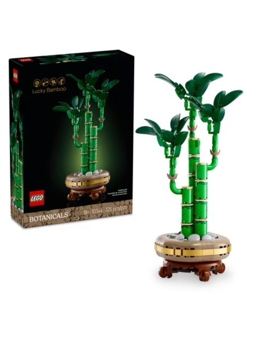 Botanicals Lucky Bamboo 