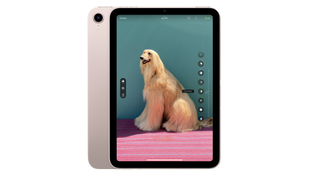 Apple iPad Mini (2022)