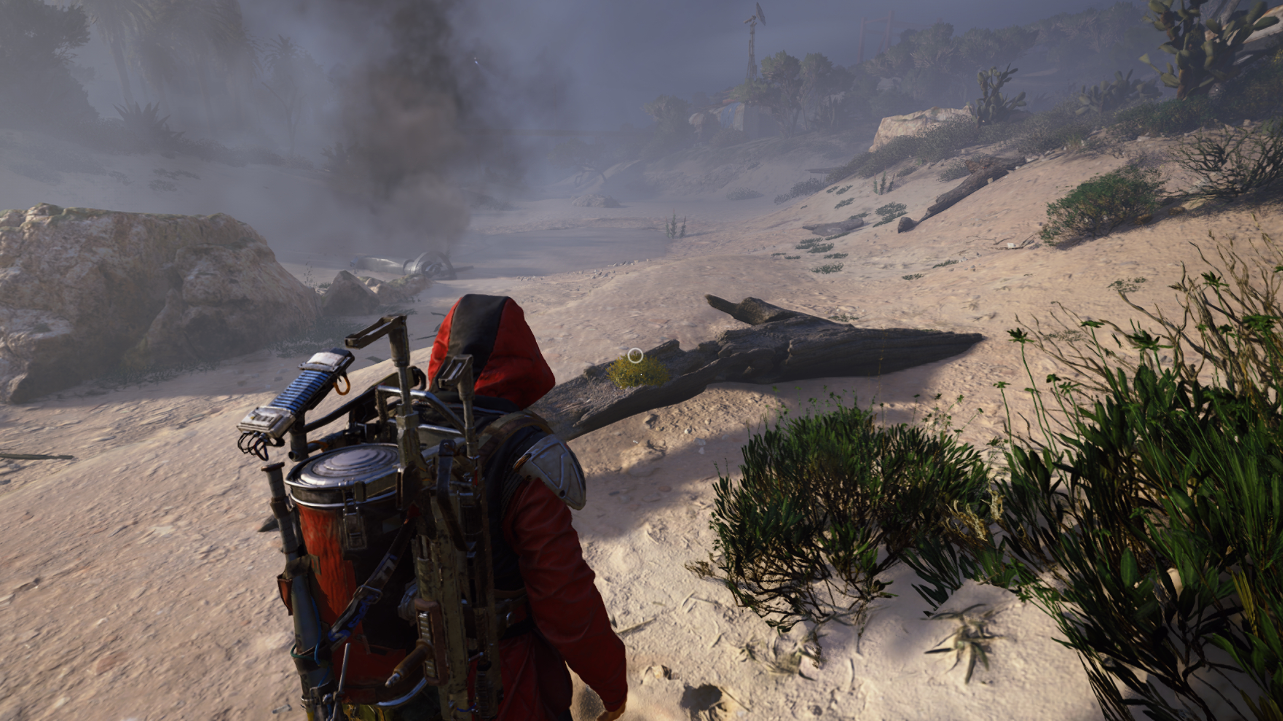 Arc Raides Moss location: A player looking at a log with moss balls on it in the Dried Riverbed area of Riven Tides.