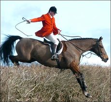 hunt22.jpg