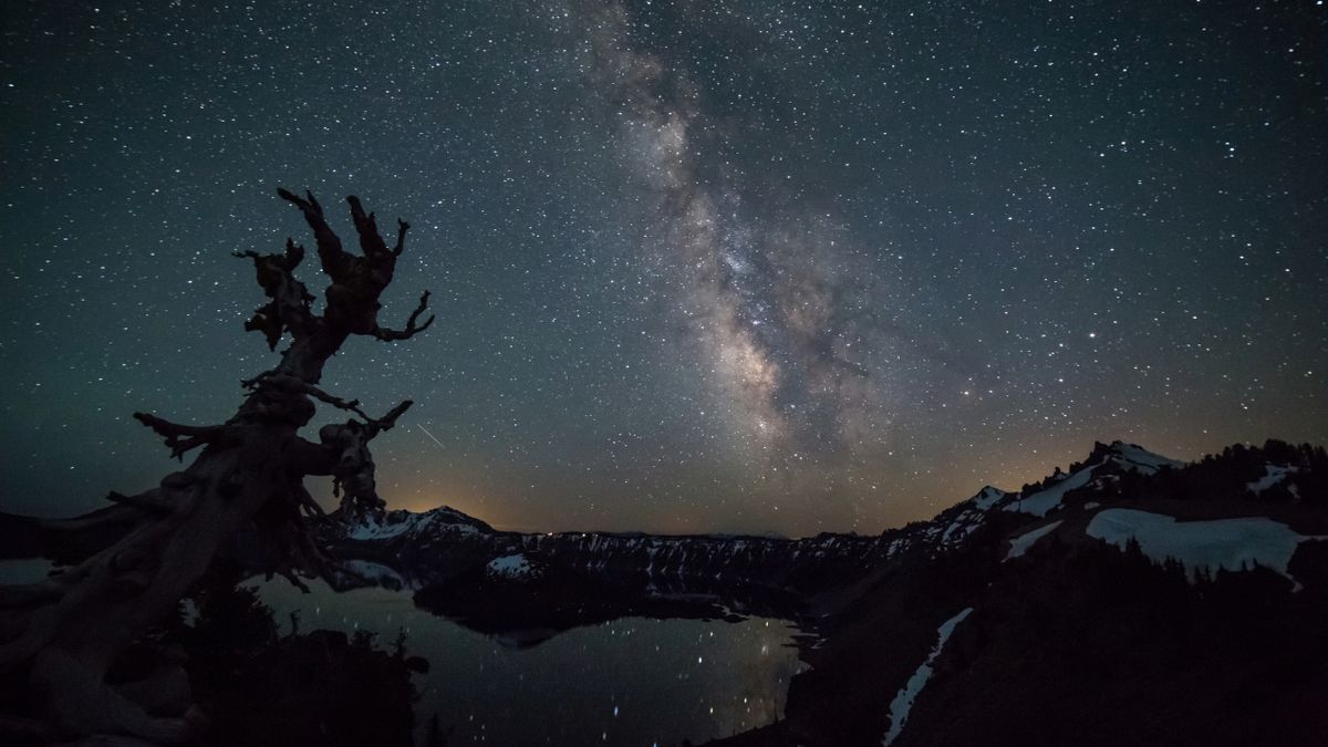 白大象星系的閃閃發光風格閃耀在藍色和金色的夜空中,俄勒岡州有樹的陰影。