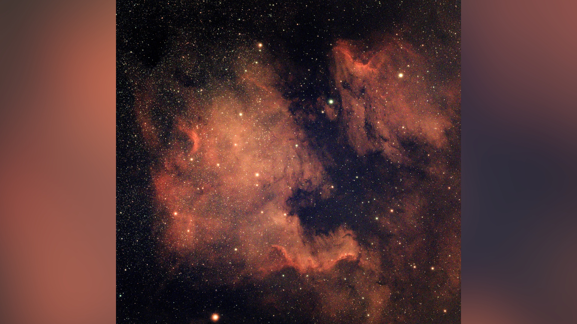 north america nebula appears as a vivid red cloud of gas and dust with stars speckled throughout