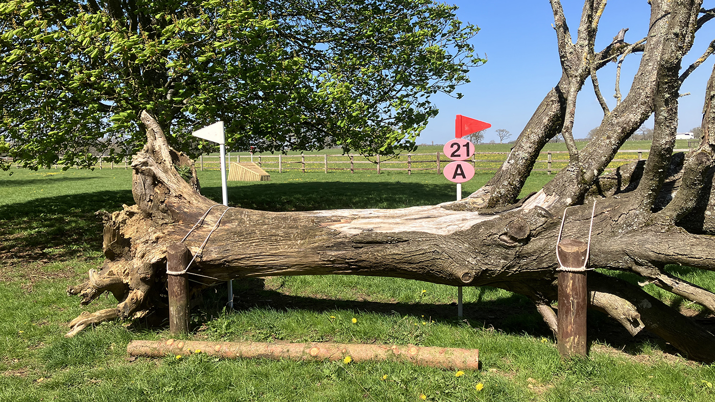 Fence 21AB, the penultimate question on the Badminton grassroots cross-country course