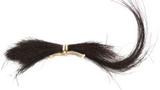 Forelock-tighter.jpg