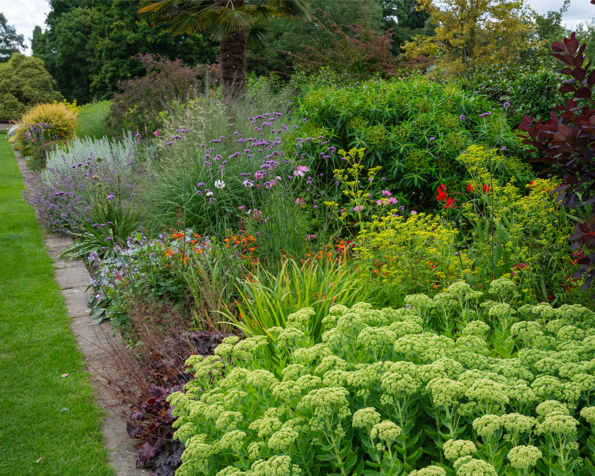 sedum and border perennials