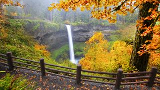 Waterfall into a pool in a lush autumn coloured forest, South Falls in Silver Falls State Park. Oregon, United States of America