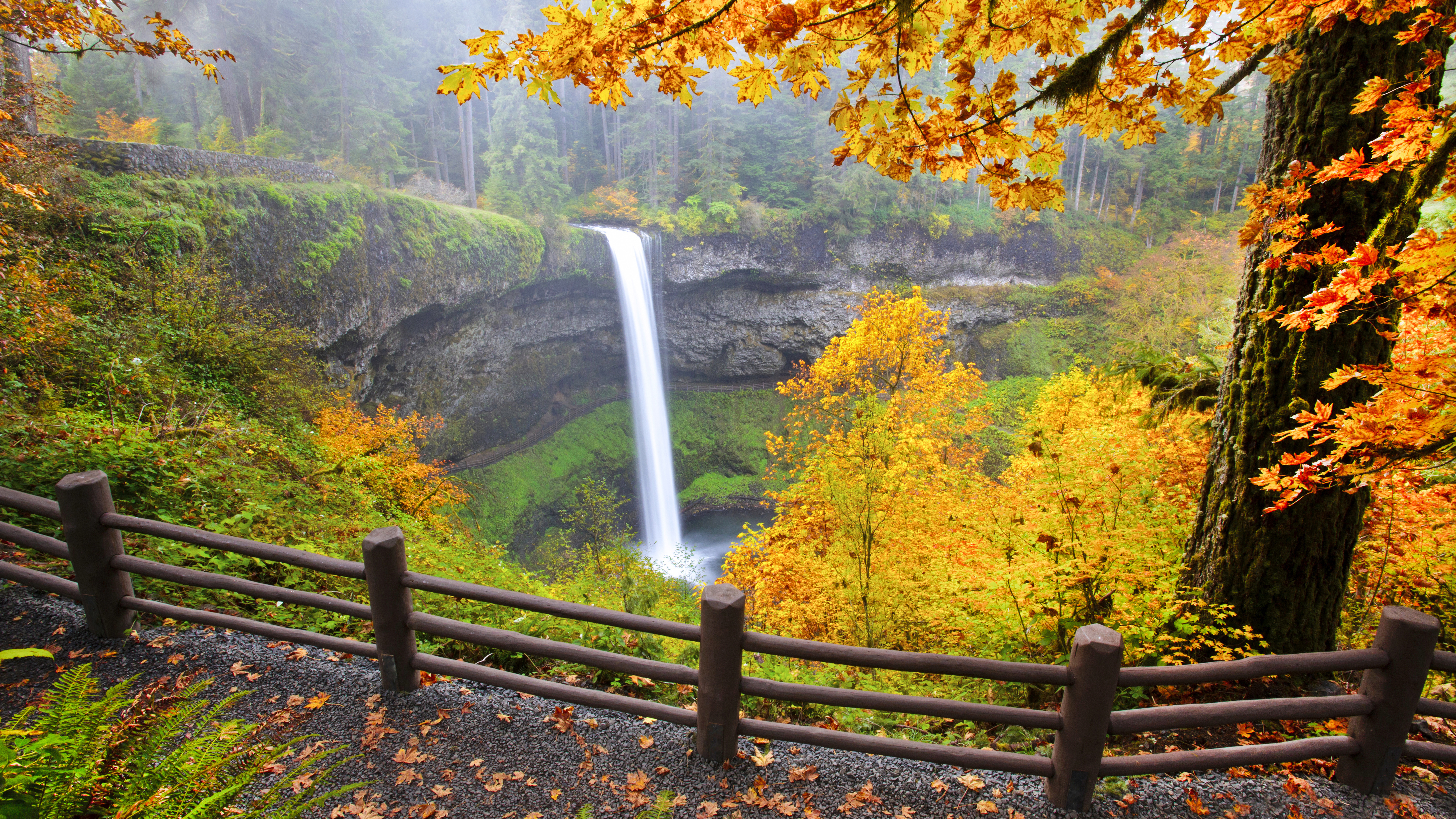 Waterfall into a pool in a lush autumn coloured forest, South Falls in Silver Falls State Park. Oregon, United States of America