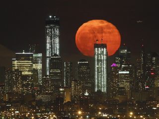 Seen from West Orange, New Jersey, the full moon hangs over the Manhattan skyline like a celestial clementine Sunday night. In general, the moon appears redder near the horizon, because its light is passing through more of our planet's thick atmosphere than when the moon is higher—the atmosphere tends to scatter blue light, letting mostly red wavelengths through.