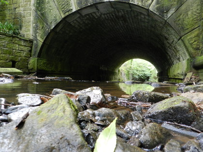 Nikon coolpix p500 sample image