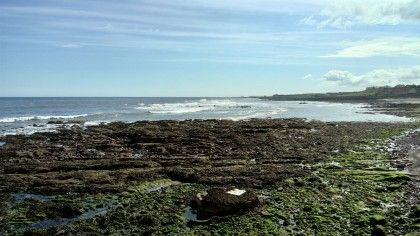 The Sony Xperia 5E's HDR mode does a good job with this beach shot, although there is some noise