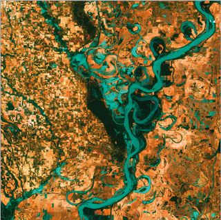 A 2001 image of the Mississippi River Delta, showing how marshes and mudflats prevail between shipping channels cut into the bird’s-foot delta