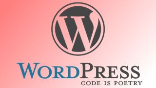 WordPress.org is a very popular open source project.