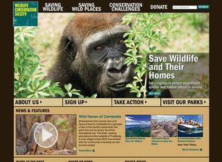 Beaconfire says the redesign of The Wildlife Conservation Society site helped raise awareness