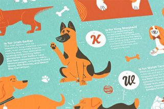 A-Z dog poster