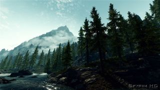 Best Skyrim mods — A screenshot of a Skyrim woodland, with improved textures from the 2K Textures mod