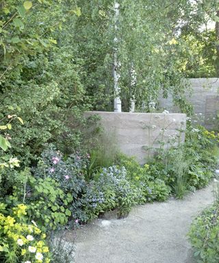 shrubs planted in a gravel garden next to a path