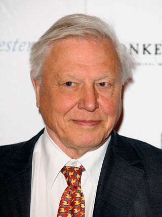 David Attenborough: 'My plants wither and die'