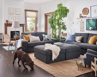 An open-plan living room with multiple IKEA KIVIK 2-seater sofas