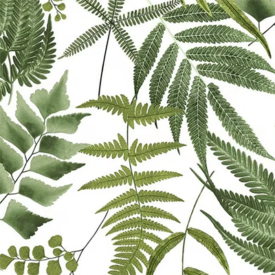 Graham and brown fern wallpaper