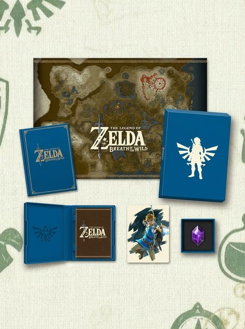 The Legend of Zelda: Breath of the Wild- Creating a Champion Hero's Edition