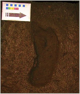 This footprint is about 15,600 years old.