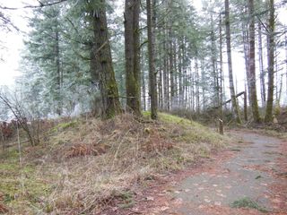 mima mounds in the prairies of Washington state.