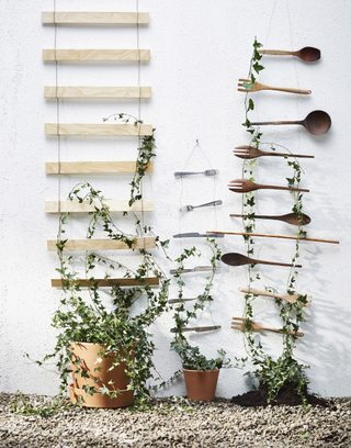 Ikea hack: plants climbing up trellis