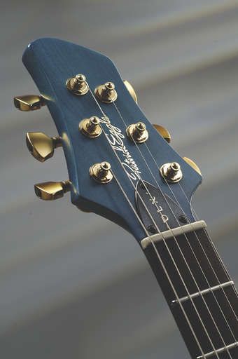 The headstock features gold Sperzel tuners