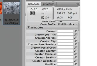metadata panel