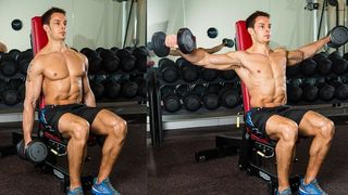 Seated dumbbell lateral raise