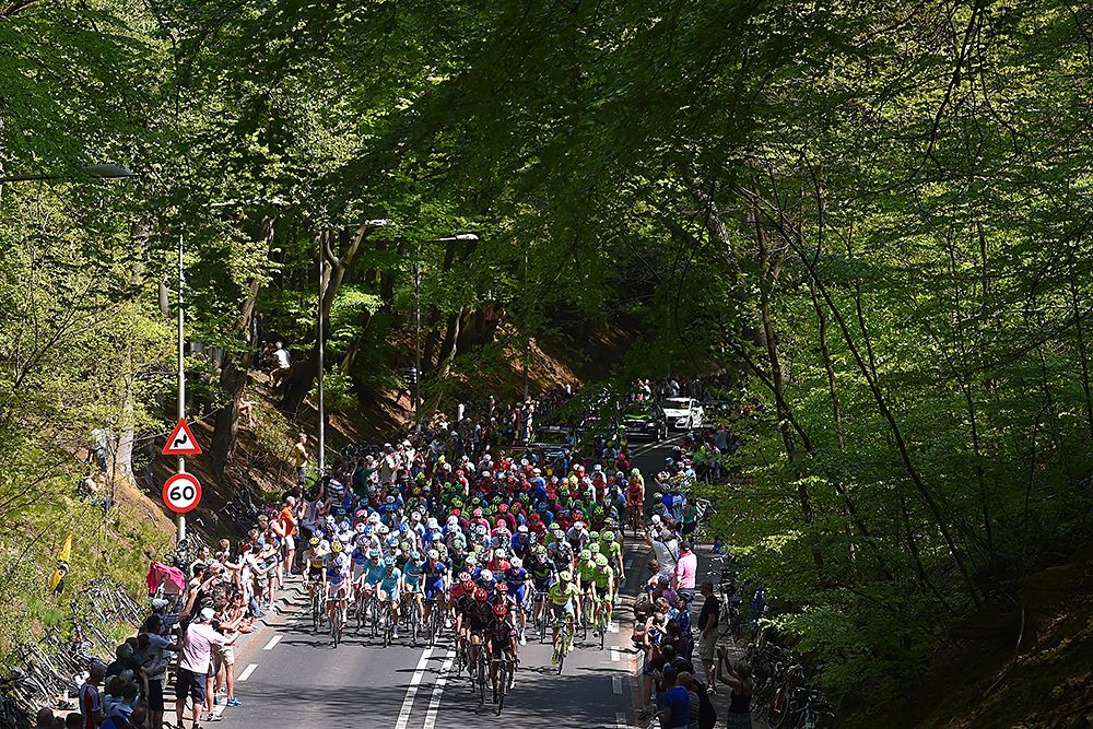 Tree-lined roads during stage 2 at the Giro d'Italia