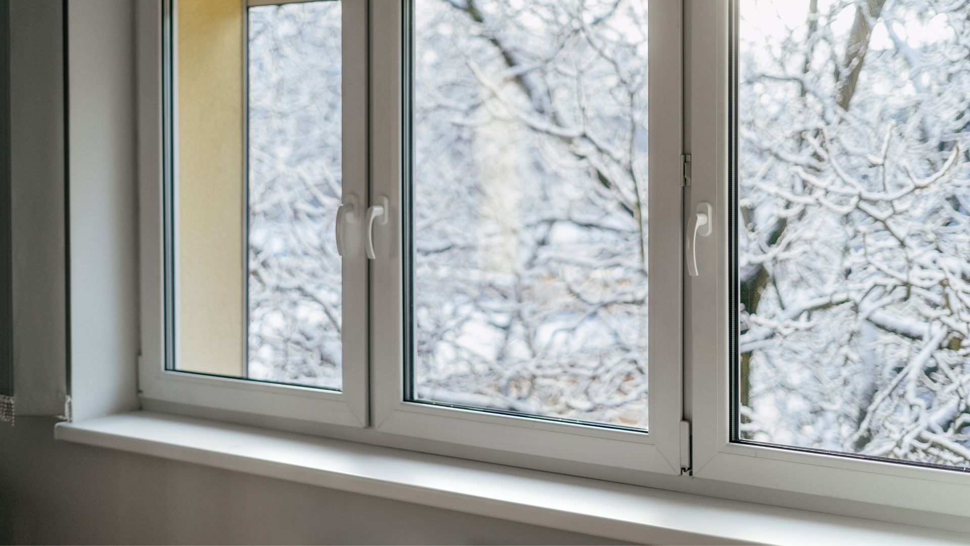 picture of snowy winter landscape outside windows