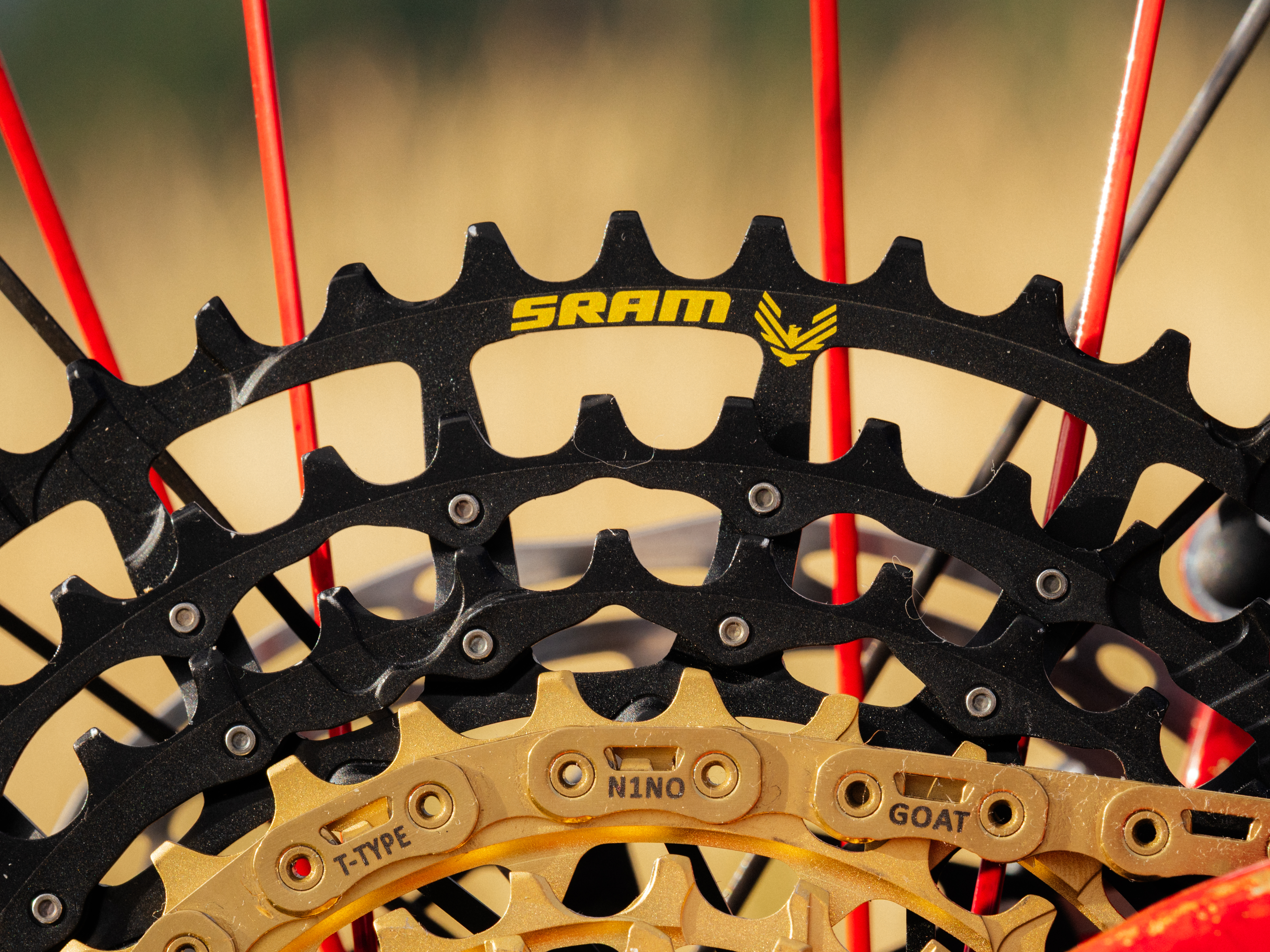 A Nino Shurter custom Scott Spark mtb