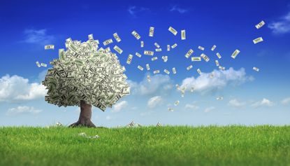 Falling dollar bills from money tree