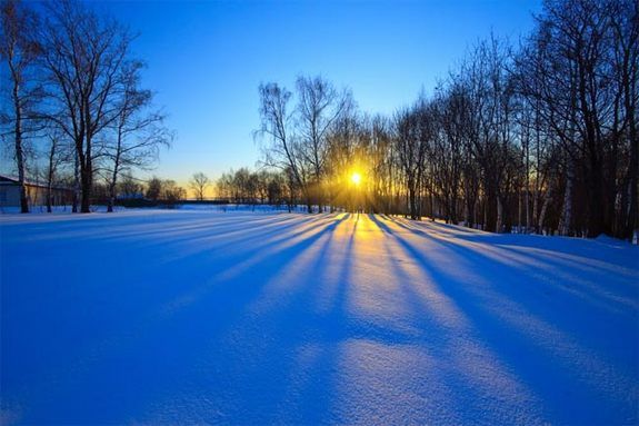 snowy landscape