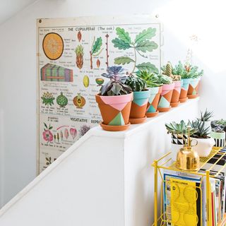 white room with potted plants and yellow shelf