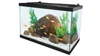 Best tropical fish tank Tetra 20 Gallon Complete Aquarium Kit