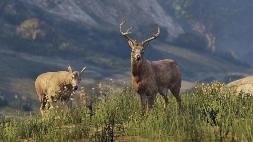 gta 5 deer hunting mission