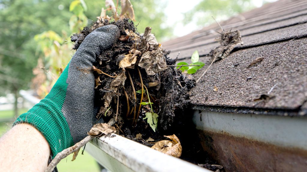 Cleaning gutters How to keep them free from leaves and debris