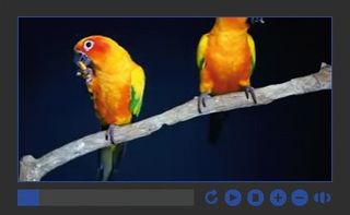 custom html5 video player