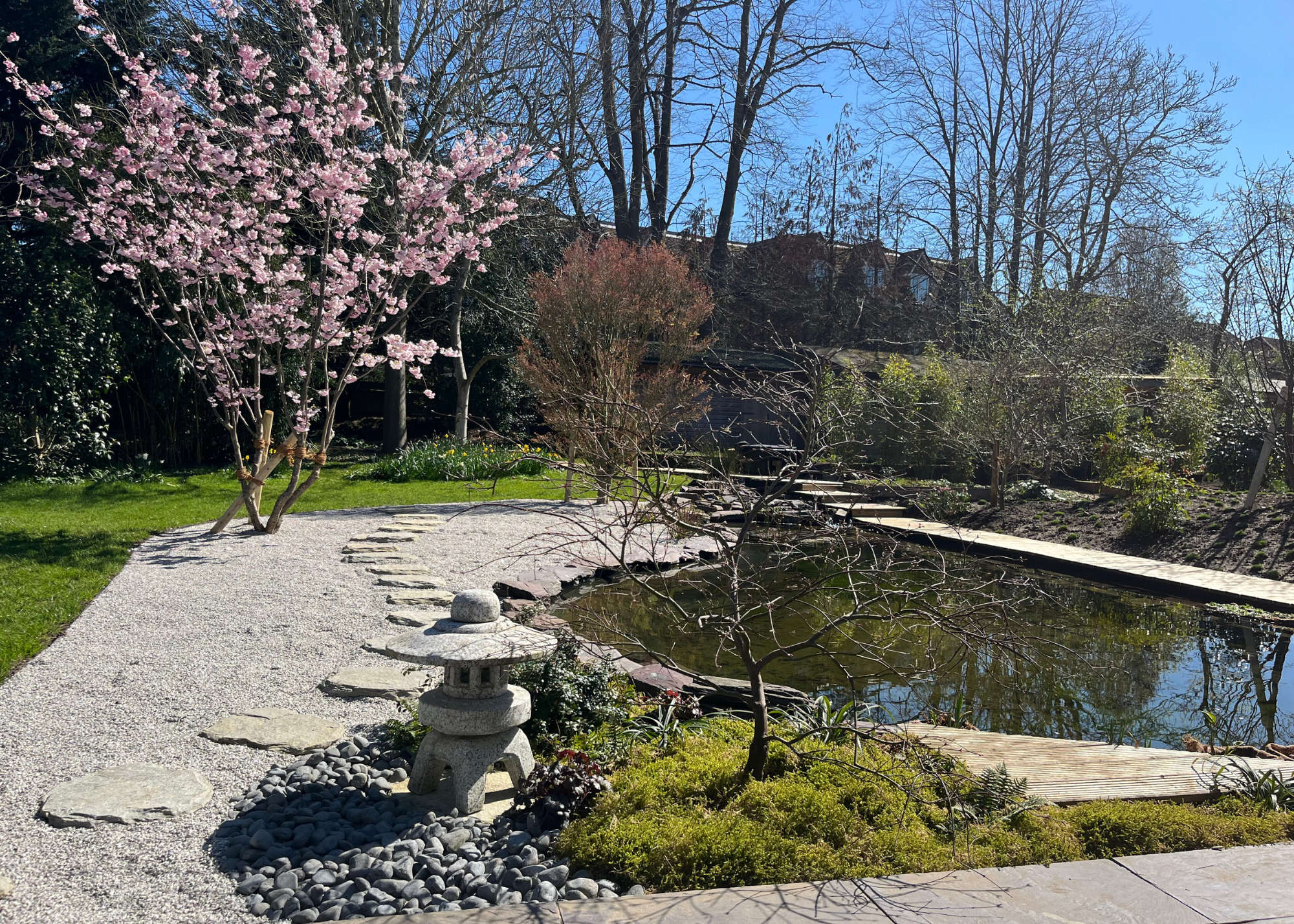 A garden with a stone path, a small statue, a water feature, tall trees, and a cherry blossom tree