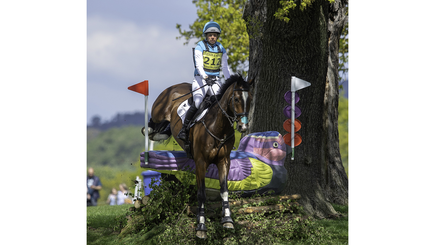 Chatsworth pictures 2019