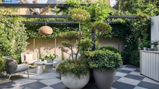 a modern garden filled with plants with a large checkerboard floor