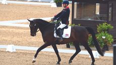 Lee Pearson on breezer