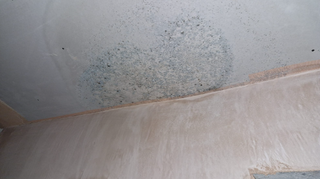 There is mould throughout the property