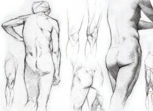 A collage of drawings from life. These illustrate the softness of the body due to skin and fat accumulation. Even on athletic fi gures, skin and fat still have a softening effect on muscular details